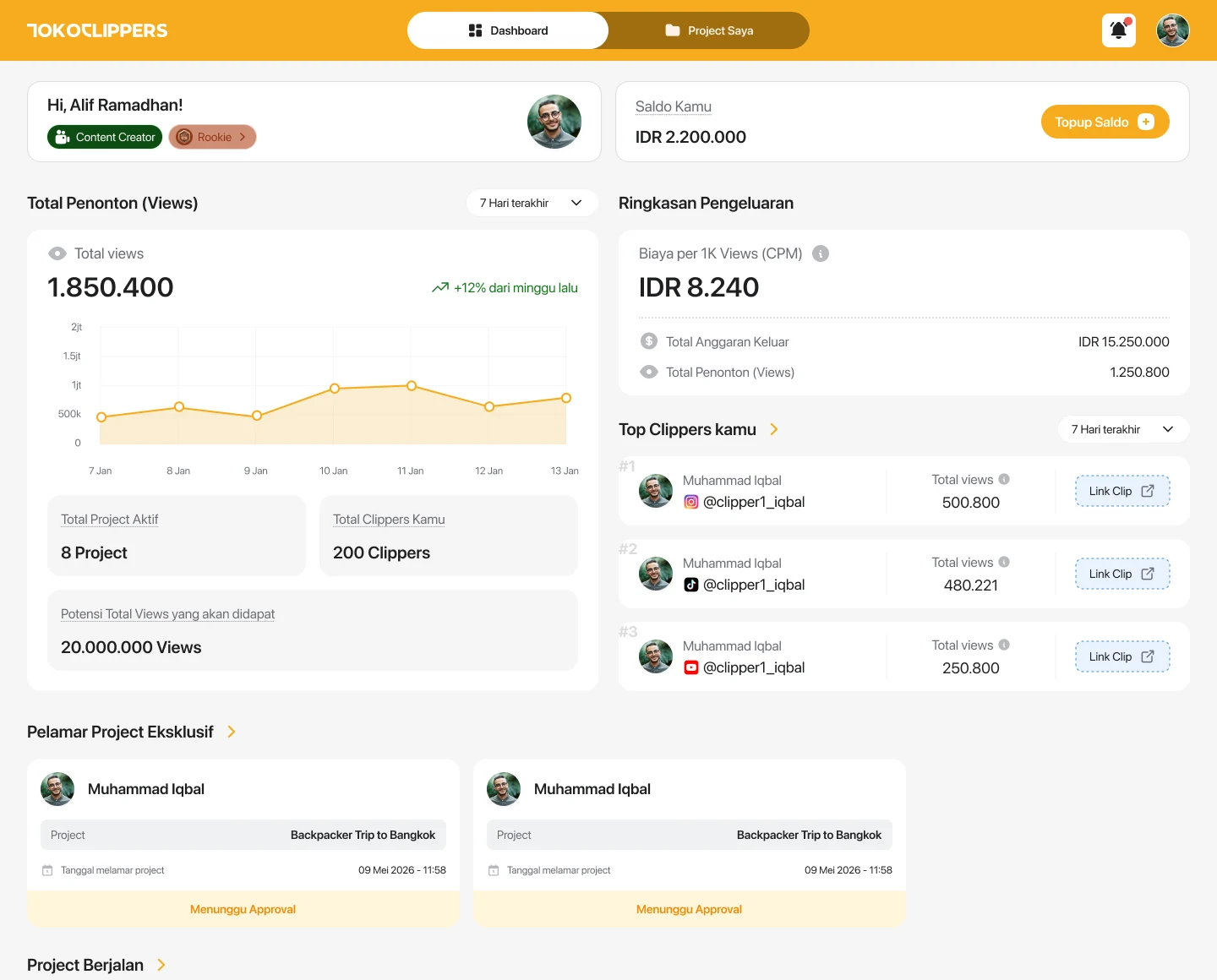 The creator home, how the running projects are performing